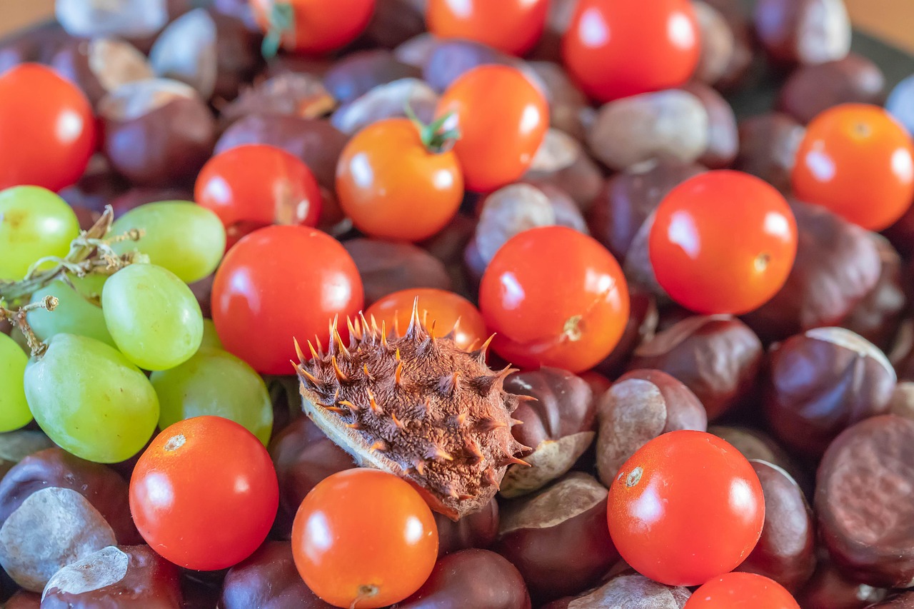 d&eacute;couvrez nos produits locaux de saison, frais et de qualit&eacute;, pour savourer les saveurs authentiques de chaque p&eacute;riode de l'ann&eacute;e.