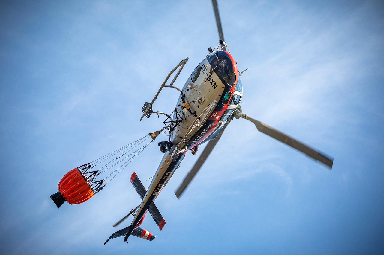 L&rsquo;importance de la biodiversit&eacute; dans la lutte contre le climat