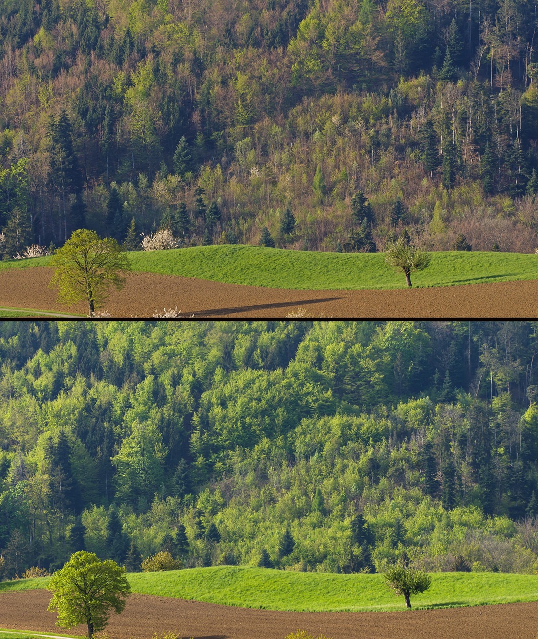 d&eacute;couvrez les principales sources et l'&eacute;volution des &eacute;missions de co2 en iran, ainsi que leurs impacts environnementaux et les initiatives pour les r&eacute;duire.