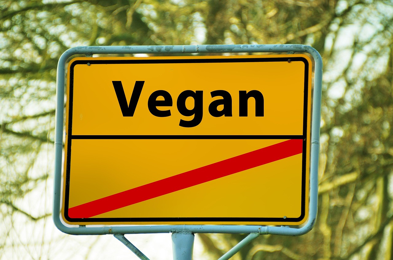 d&eacute;couvrez tout sur la conversion e85 : guide complet, avantages, co&ucirc;ts et conseils pour transformer votre v&eacute;hicule afin d'utiliser le carburant e85 efficacement.