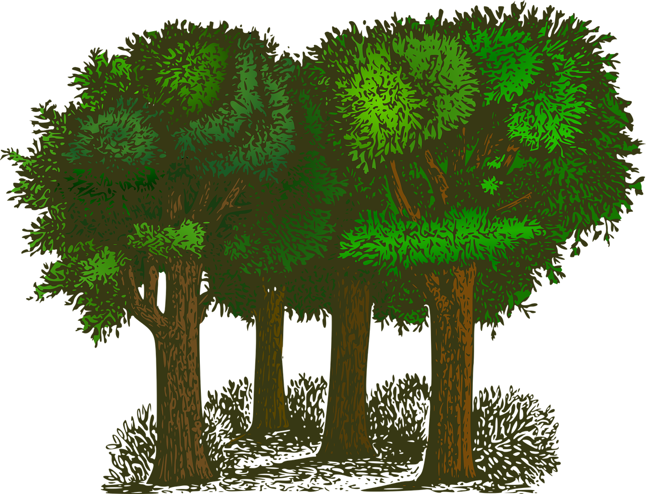 d&eacute;couvrez des informations cl&eacute;s sur l'&eacute;cologie, ses principes et son importance pour la pr&eacute;servation de notre plan&egrave;te et l'avenir durable.