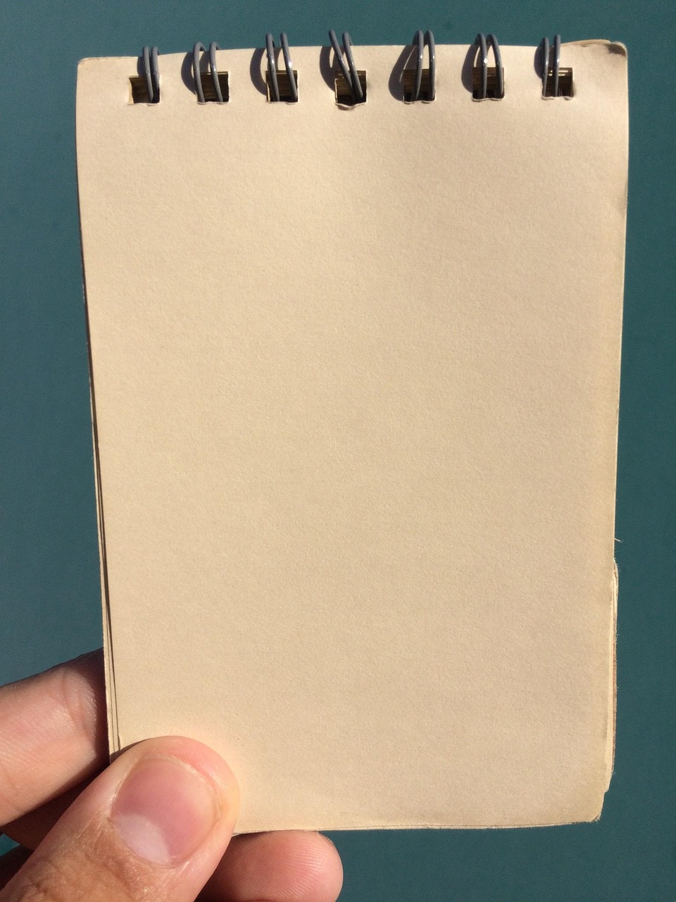 d&eacute;couvrez comment un budget vert peut favoriser le d&eacute;veloppement durable en int&eacute;grant des pratiques &eacute;cologiques dans la gestion financi&egrave;re.