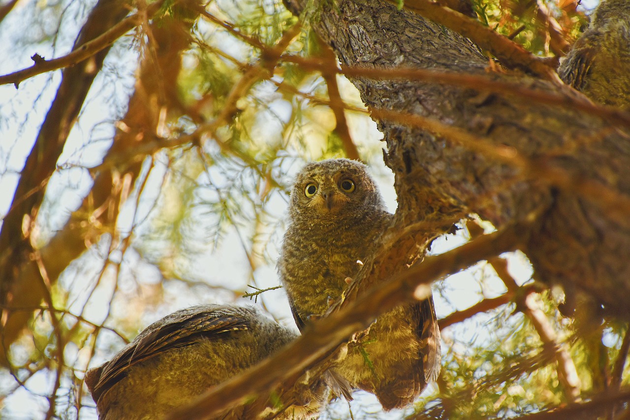 d&eacute;couvrez tout sur les scop (soci&eacute;t&eacute;s coop&eacute;ratives et participatives), leur fonctionnement, leurs avantages et pourquoi choisir ce mod&egrave;le d'entreprise coop&eacute;rative.