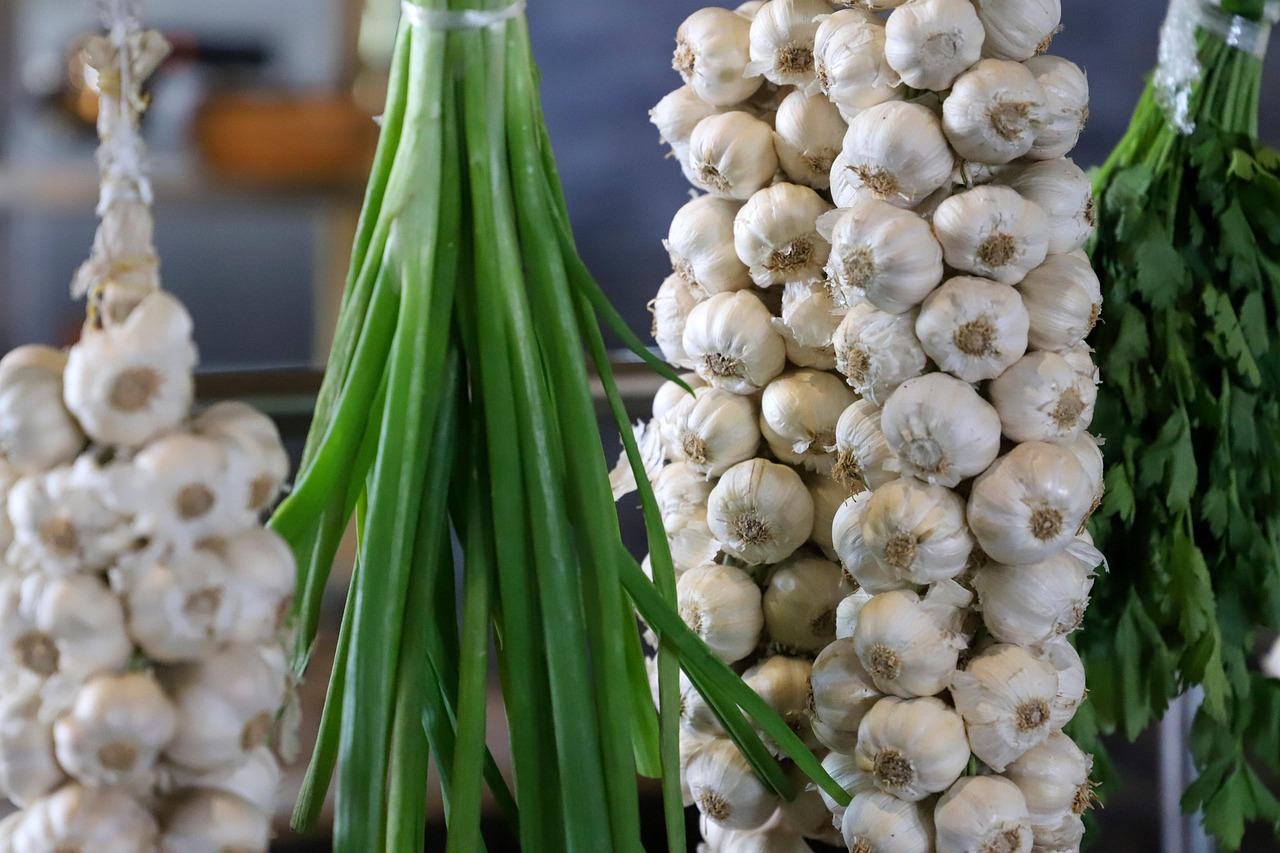 d&eacute;couvrez notre s&eacute;lection de condiments savoureux pour sublimer tous vos plats et apporter une touche de go&ucirc;t unique &agrave; vos recettes.
